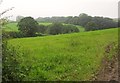 Field, Poulston