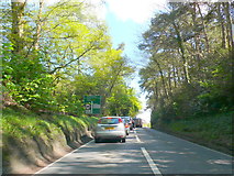 SY9694 :  Stopped Traffic on Beacon Hill by Nigel Mykura