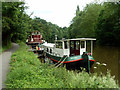 Dutch barges on the Medway