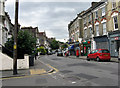 TQ3073 : Brixton:  Elm Park by Dr Neil Clifton