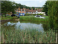 Pond on the green, Bearsted