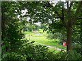 Path through the trees, off Gleadless Road, Heeley, Sheffield