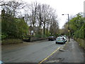 Lamppost in Collegiate Crescent