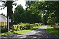 Estate track near Minto House