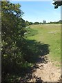 Footpath on north bank of Ningwood Lake