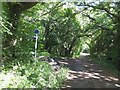 Pigeon Coo; junction of tracks