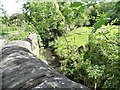 Scarcroft Beck alongside Thorner Lane