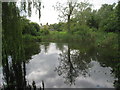 Irby Community Pond