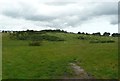 Path heading to Selby