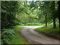 Lane towards Littleworth Road