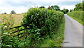 Footpath and lane