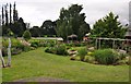 Tiverton : Heathcoat Primary School - Garden