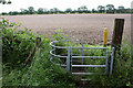 Footpath at Thorney 