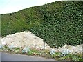 Flowerbeds on the east side of Gateland Lane