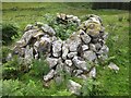 NM8303 : Stone ruins by Patrick Mackie