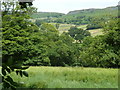 Field and hillside view