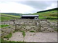 Sheep pens & barn, Sourhope Farm