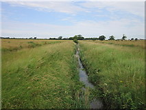 SK8991 : Looking west along Yawthorpe Beck by Ian S