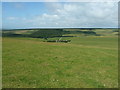 TQ5600 : Downland view west from Willingdon Hill by Dave Spicer