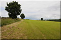 Field on Copse Hill