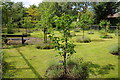 The Parish Orchard, Lower Slaughter