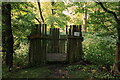 TL3363 : Badger viewing platform, Overhall Grove, Knapwell by Rob Noble