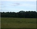 Farmland towards Brotherwick Banks