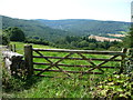 View into the Wye Valley from St. Briavels