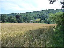 SO5304 : View to Bigsweir House from the Wye by Jeremy Bolwell