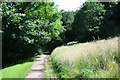 Path in Firth Park