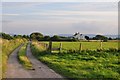 ST2746 : Sedgemoor : Grassy Field & Track by Lewis Clarke