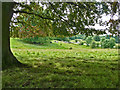 SP9310 : Tring Park - View from under the Copper Beeches by Rob Farrow