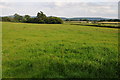 Farmland near Kinnerton