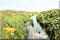 Mill Beck near Ellerker