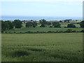 Farmland near Bilton