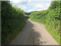 Road to Llanfihangel Nant Bran