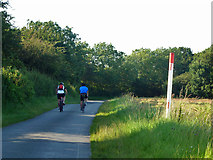 TL6206 : Cycling on Radley Green Road by Robin Webster