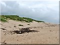 NZ2894 : The sand dunes at Druridge Bay, near Cresswell, Northumberland by Derek Voller