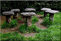 R4561 : Bunratty Park - Site #23 - The Corn Barn - Pedestals for Elevating Haystacks by Joseph Mischyshyn