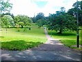 Path across Singleton Park