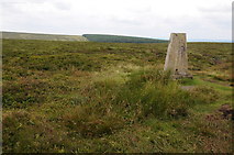 SO1964 : Trig point on Black Mixen by Philip Halling