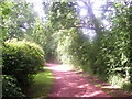 Red pathway