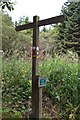 Signpost, Jedburgh Circular Route