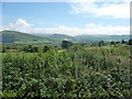 View to the hills from a lay-by near Llanegryn