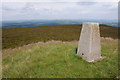 SO2163 : Trig point on Bache Hill by Philip Halling