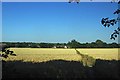 Footpath to Great Burstead Grange