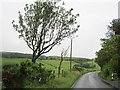 Road by Wester Croft