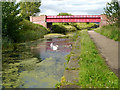 SD7807 : Manchester, Bolton and Bury Canal, Radcliffe by David Dixon