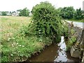 Beck alongside the road, south of Thorner