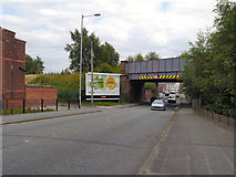 SJ6189 : Railway Bridge Over Marsh House Lane by David Dixon